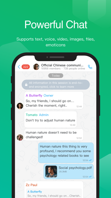 Ant Messenger：以技术为盾，重塑数字通讯的隐私与自由 